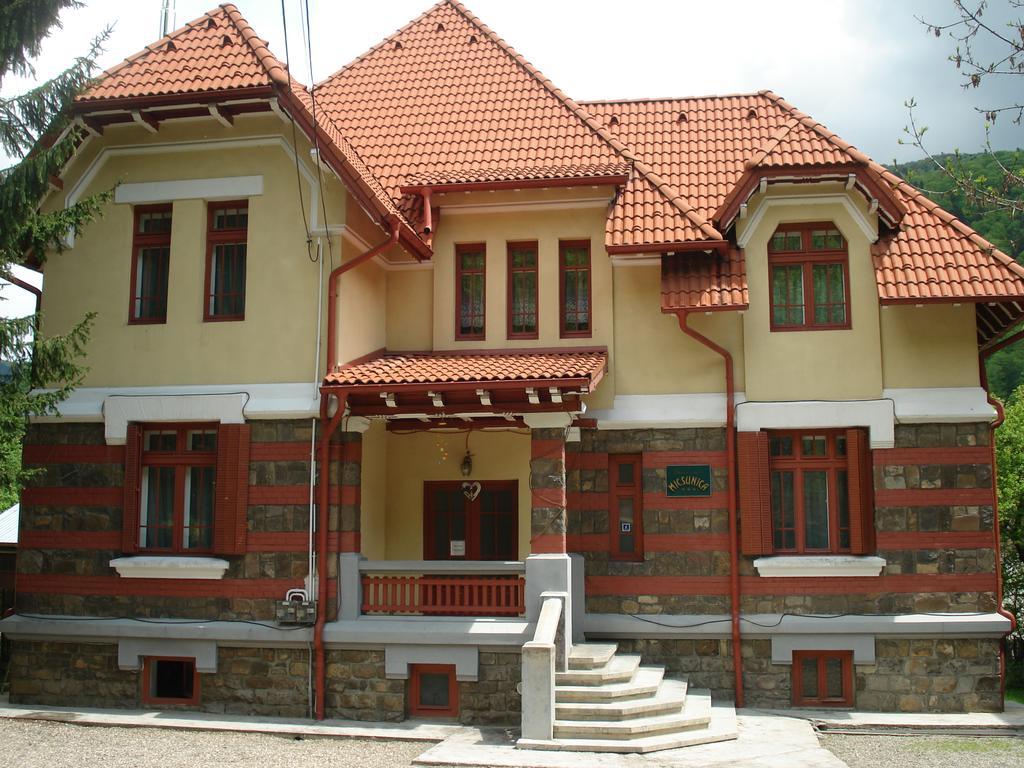 Pensiunea Micsunica Sinaia Esterno foto